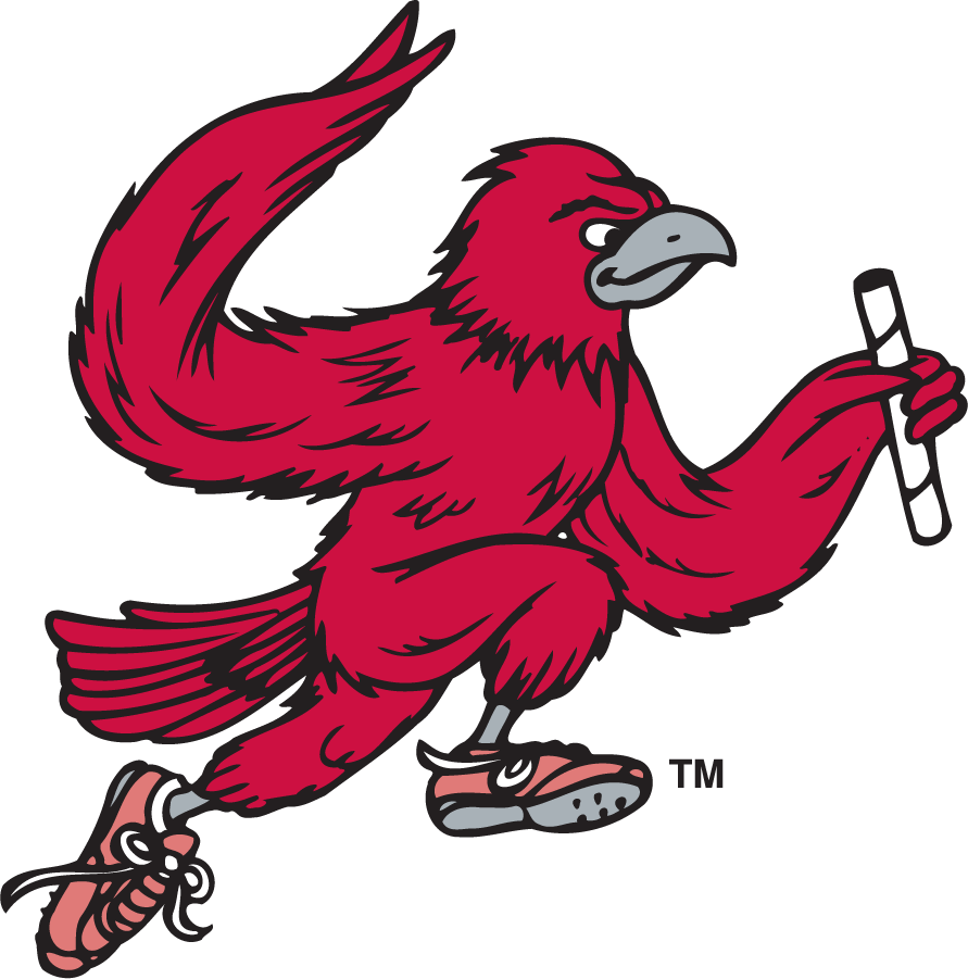 St. Joseph's Hawks 1995-2002 Secondary Logo v6 iron on transfers for clothing